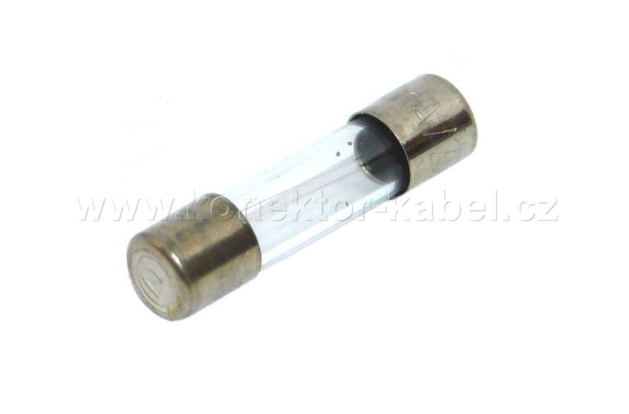 Pojistka F 10 A, 5 x 20 mm
